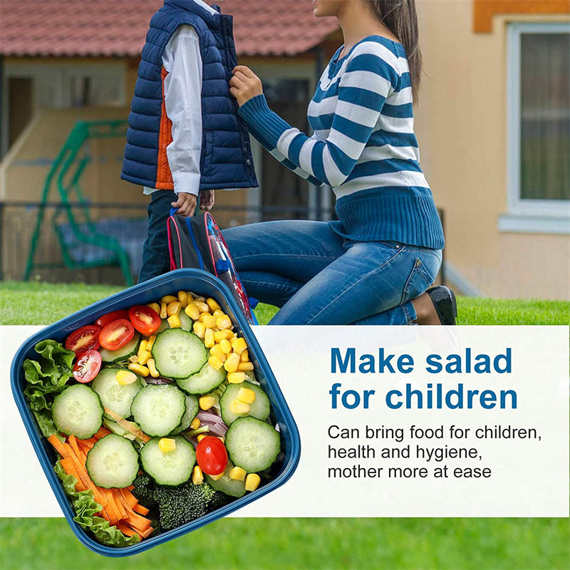 Contenitore per insalata porta - Food Storage Box Large recensione e prezzo