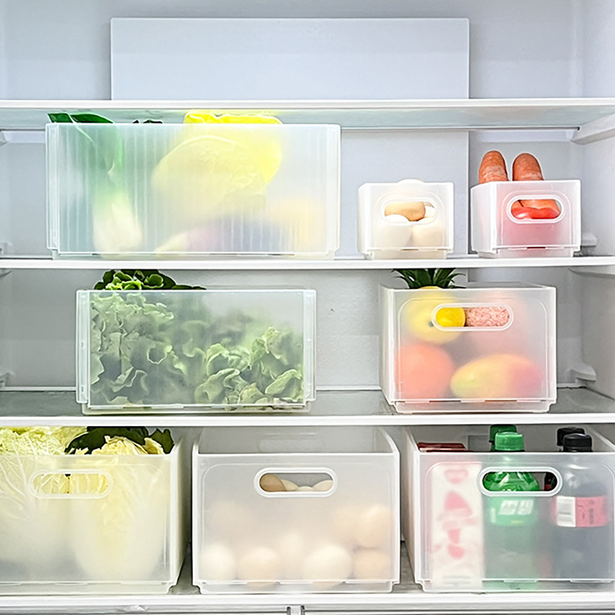 WORTHBUY Scatola portaoggetti  - Xxl Food Storage Container recensione e prezzo