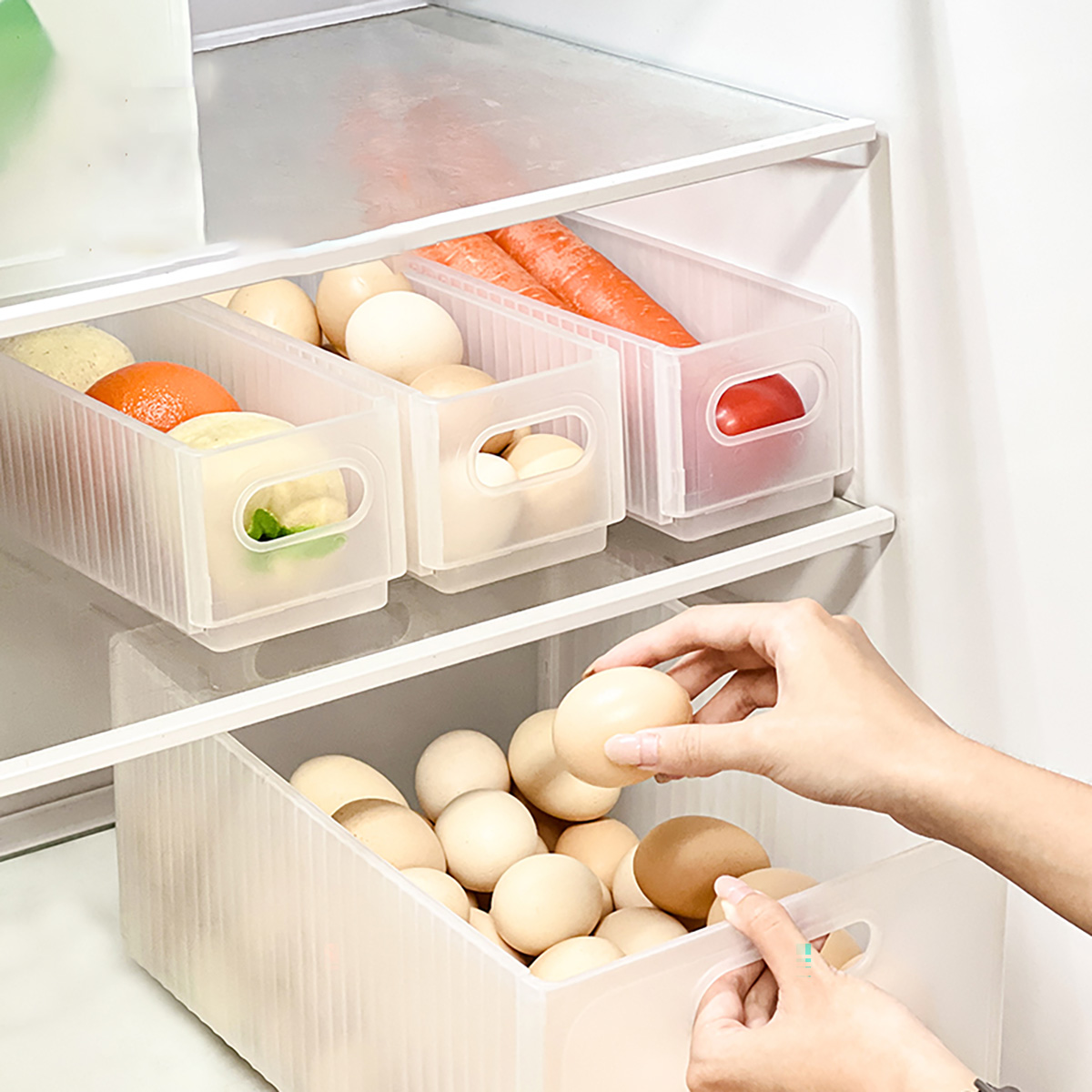 WORTHBUY Scatola portaoggetti  - Xxl Food Storage Container recensione e prezzo