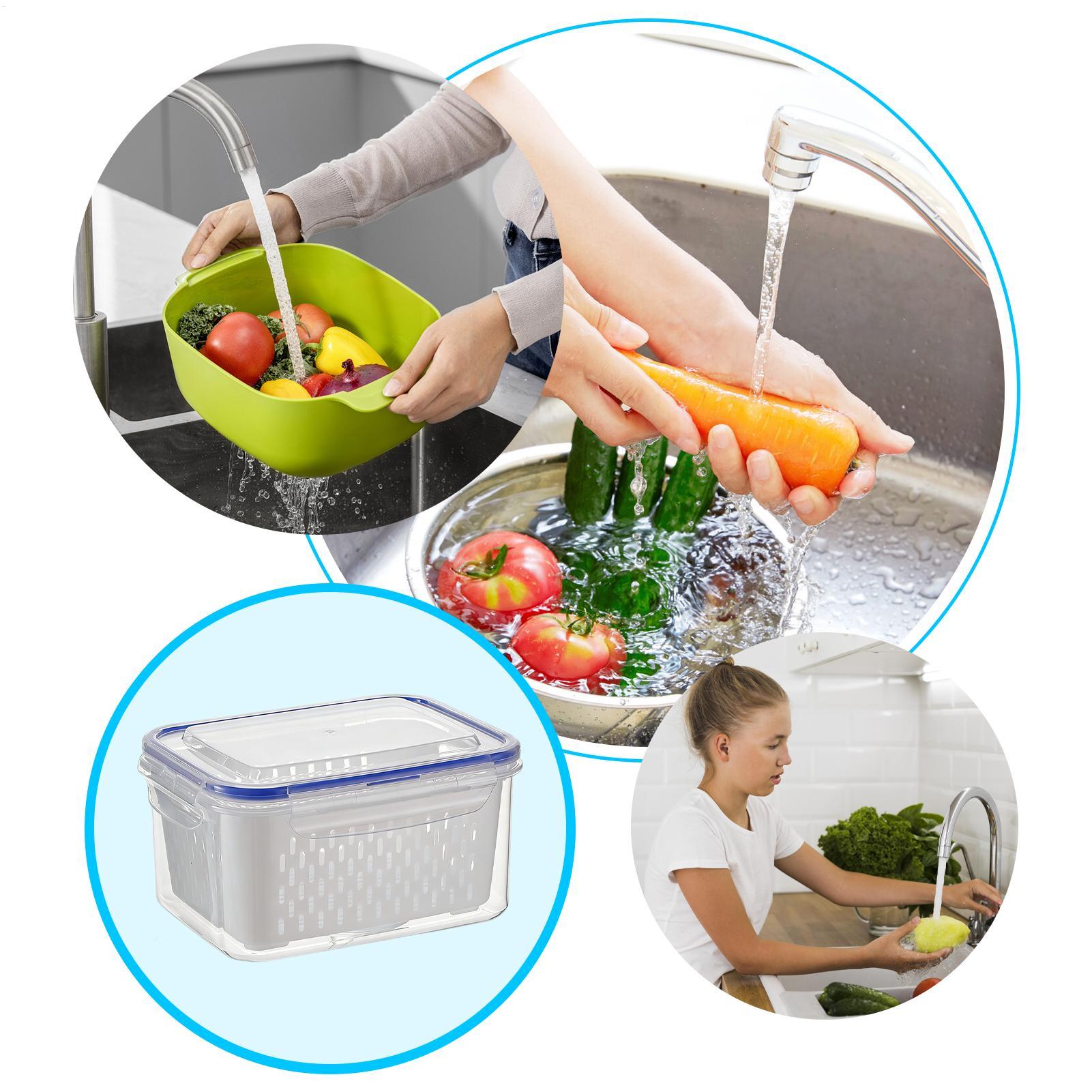 Contenitore per alimenti 4 in  - Food Storage Refrigerator recensione e prezzo