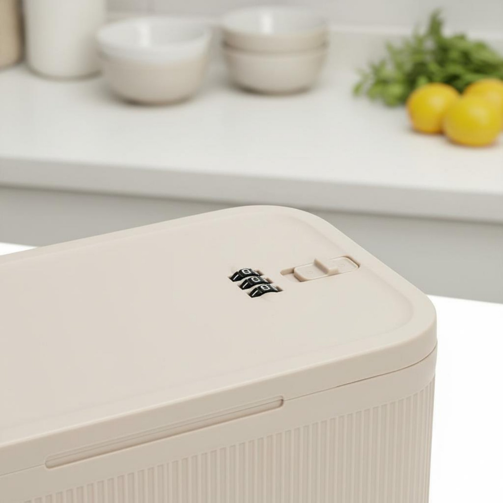 Contenitore con Serratura a Co - Food Storage With Lock recensione e prezzo