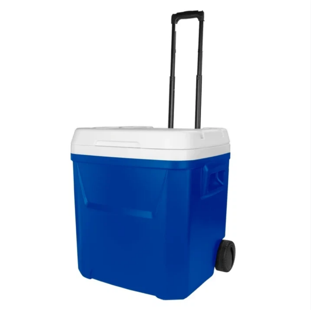 Frigo portatile con ruote Lagu - Food Storage Box Large recensione e prezzo