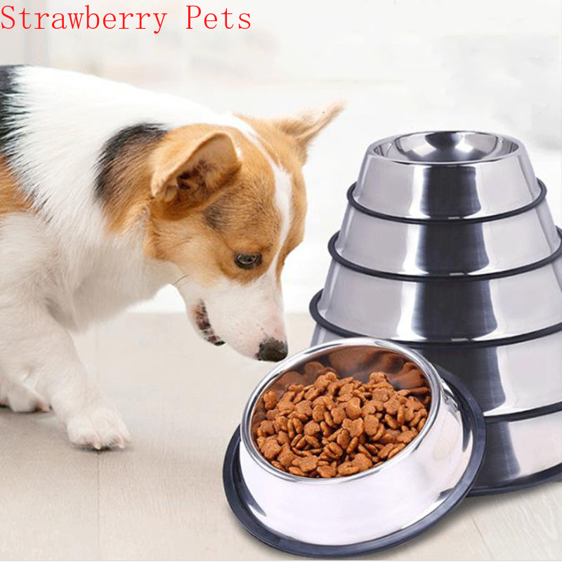 Ciotola per cani da compagnia  - Xxl Food Storage Container recensione e prezzo