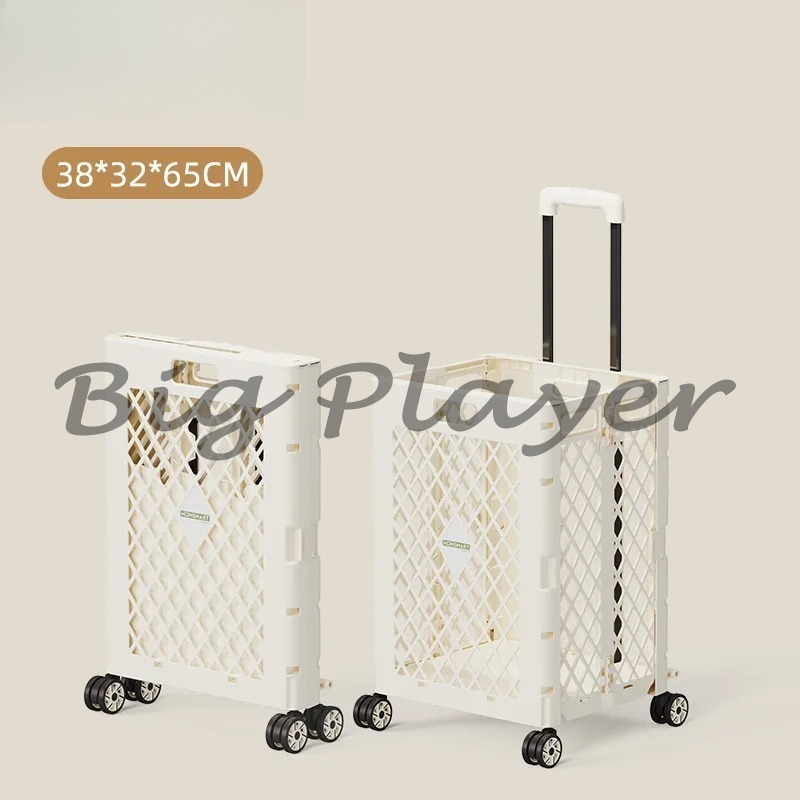 Carrelli della spesa portatili - Food Storage With Wheels recensione e prezzo