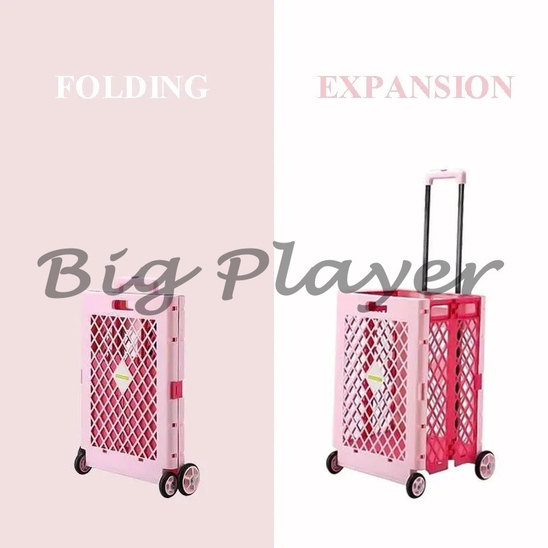 Carrelli della spesa portatili - Food Storage With Wheels recensione e prezzo