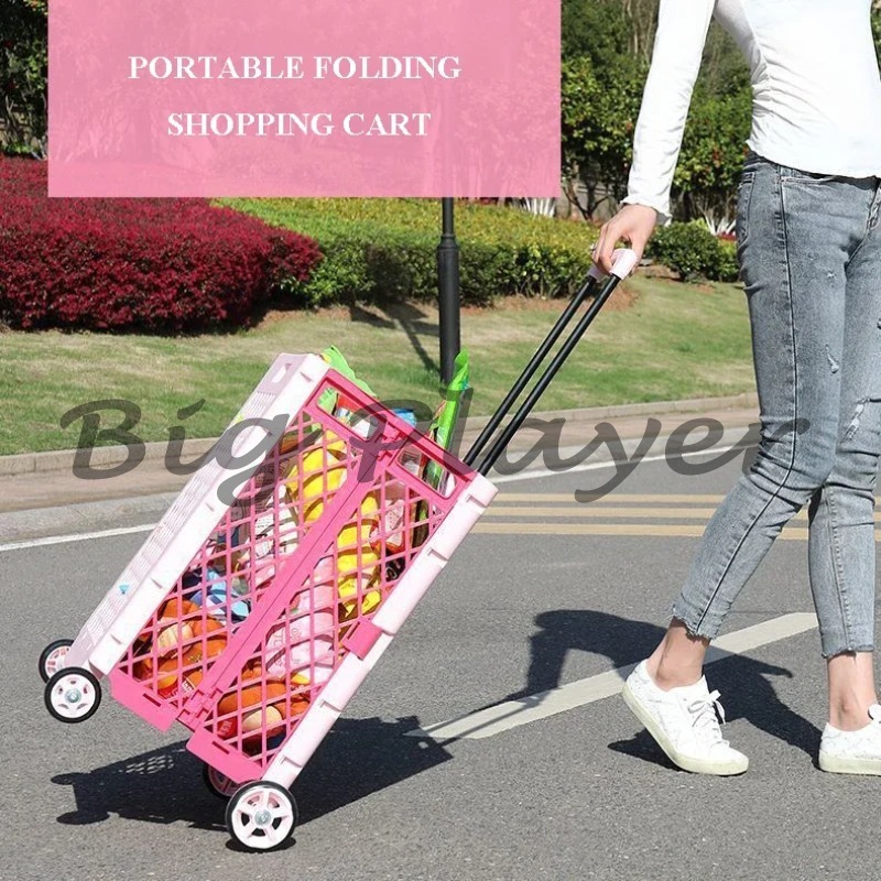 Carrelli della spesa portatili - Food Storage With Wheels recensione e prezzo