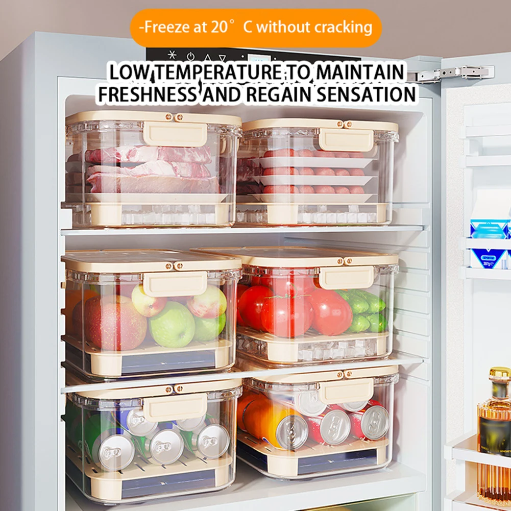 Contenitore portatile per la c - Food Storage Box Large recensione e prezzo