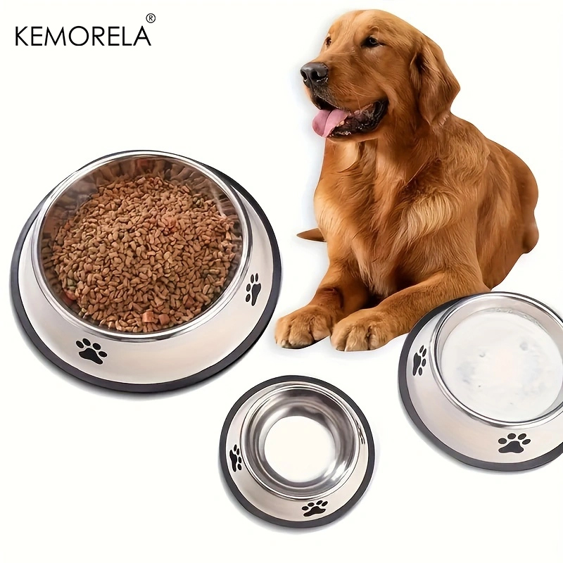 Ciotola per cani in acciaio in - Xxl Food Storage Container recensione e prezzo