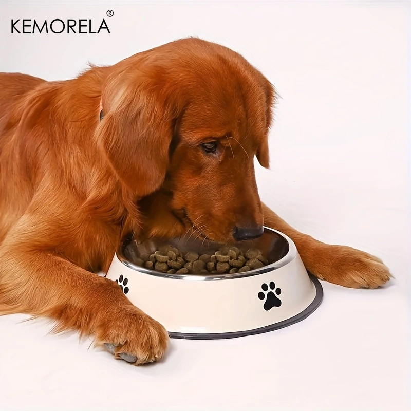 Ciotola per cani in acciaio in - Xxl Food Storage Container recensione e prezzo