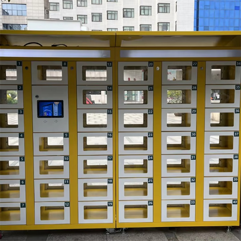 Armadietto Elettronico a Doppi - Food Storage With Lock recensione e prezzo