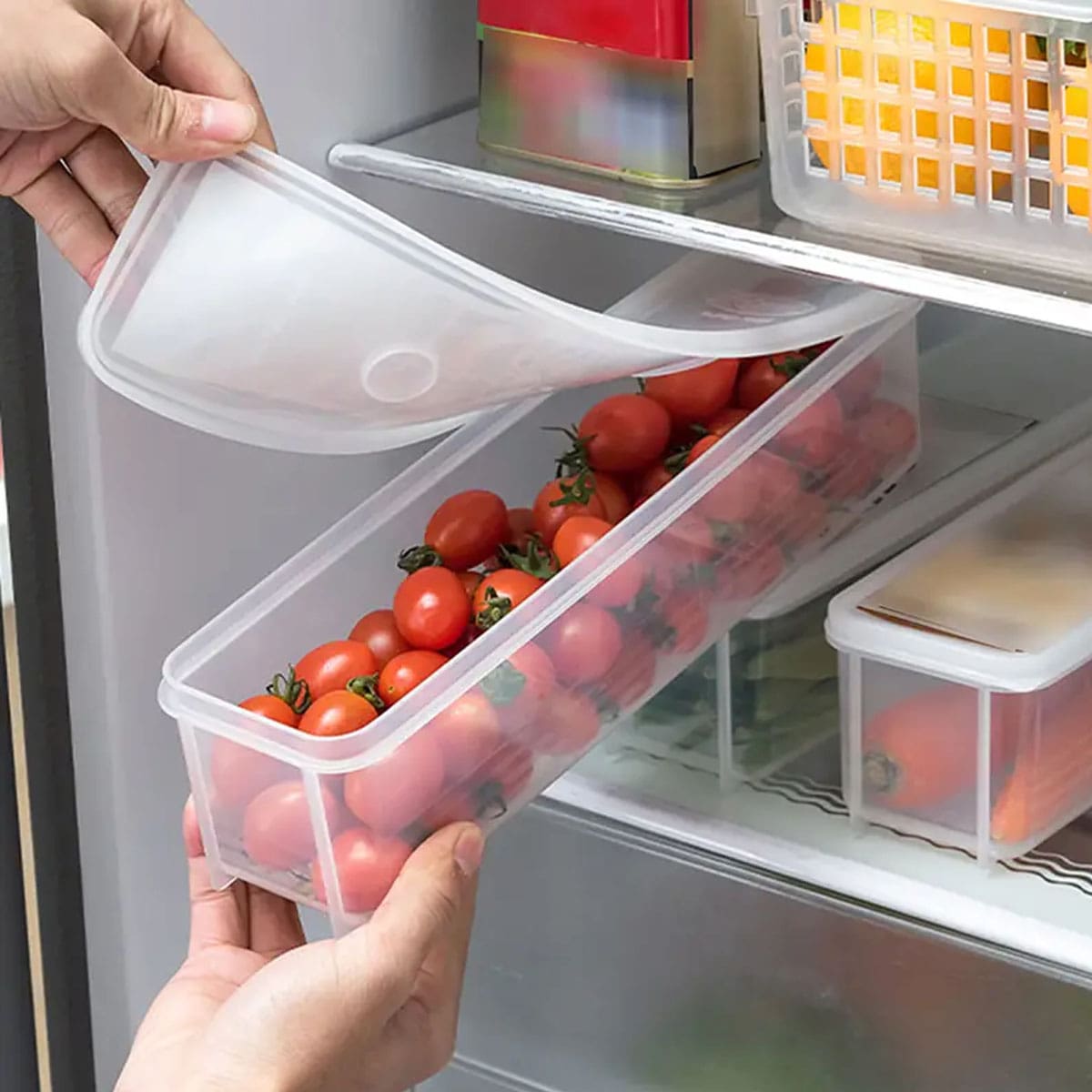 1 scatola portaoggetti in plas - Food Storage Made Easy recensione e prezzo