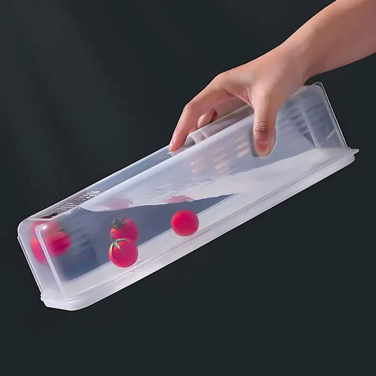 1 scatola portaoggetti in plas - Food Storage Made Easy recensione e prezzo